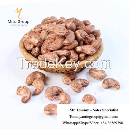 Free Samples Cashew Nuts Roasted with Skin W180 BRC HACCP ISO FREE TAX