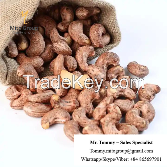 Free Samples Roasted Cashew Nuts 240 with Salt with BRC HACCP ISO FREE TAX