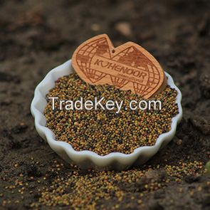 Premium Persian Clover Seed - Exceptional Quality