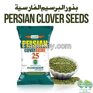 Premium Persian Clover Seed - Exceptional Quality