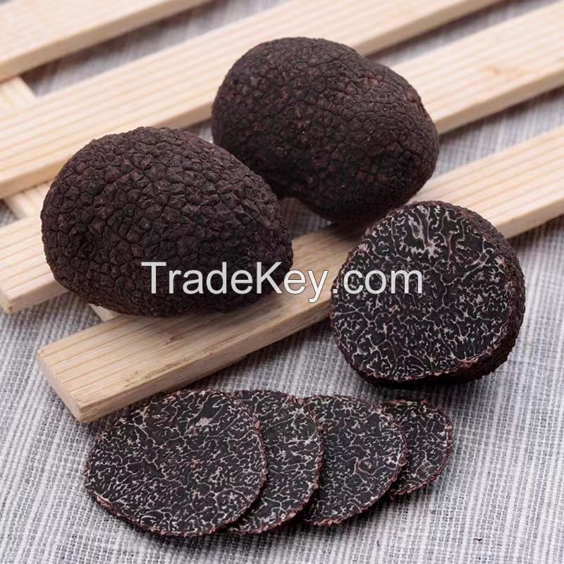 Wild Fresh Black Truffle Tuber +55gr Size 5-8cm