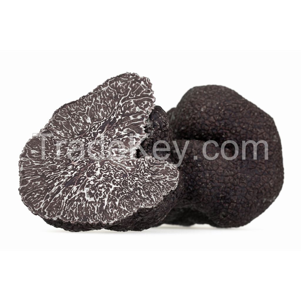 Wild Fresh Black Truffle Tuber +55gr Size 5-8cm