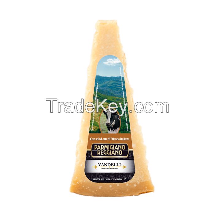 Parmigiano Reggiano Friesian Cow 12 months