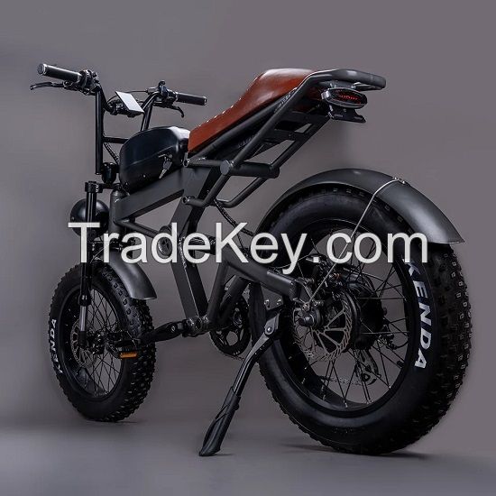 20 inch Electric Mountain Bike with Fat Tires Shock Absorber Off-road Electric Bicycle