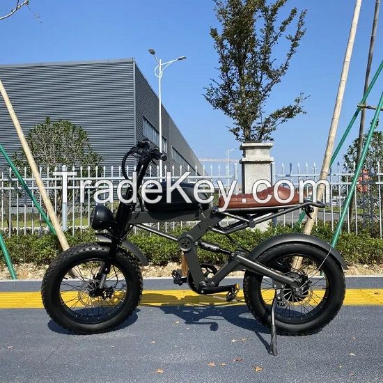 20 inch Electric Mountain Bike with Fat Tires Shock Absorber Off-road Electric Bicycle