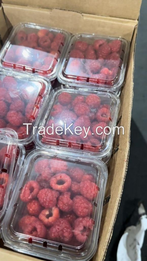 Fresh Raspberries, High Quality Raspberries, Fresh Raspberries Punnets