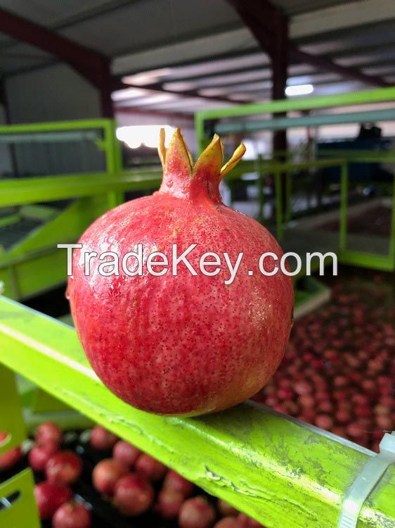 Quality Pomegranates, Fresh Pomegranates, Pomegranates Seeds