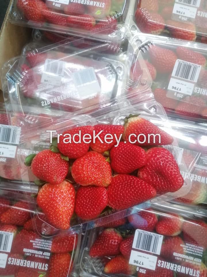 Fresh Berries, Fresh Strawberry with high quality, Fresh Style Berries, Fresh Strawberries Punnets