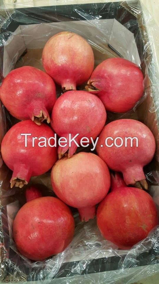 Quality Pomegranates, Fresh Pomegranates, Pomegranates Seeds