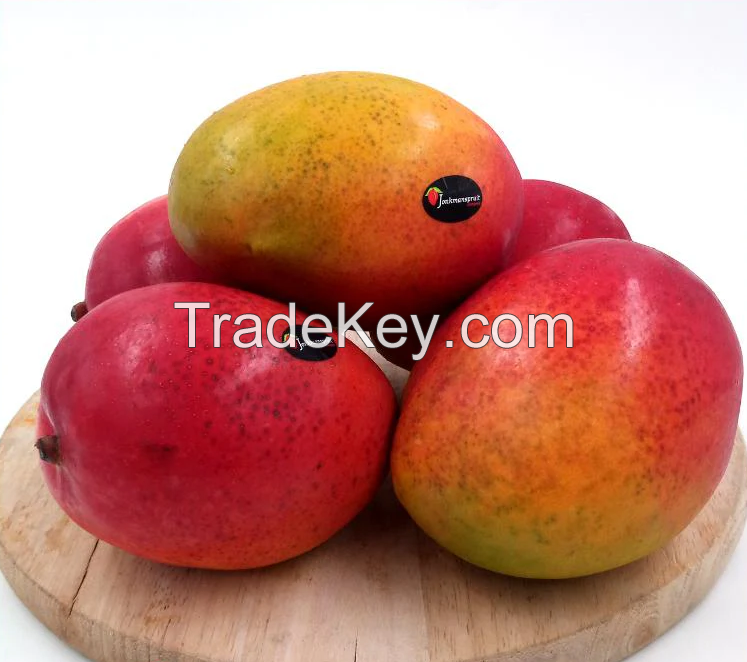 Fresh Mango, Mangoes, Tommy Atkins Mango, Kent Mango, Frozen Mango