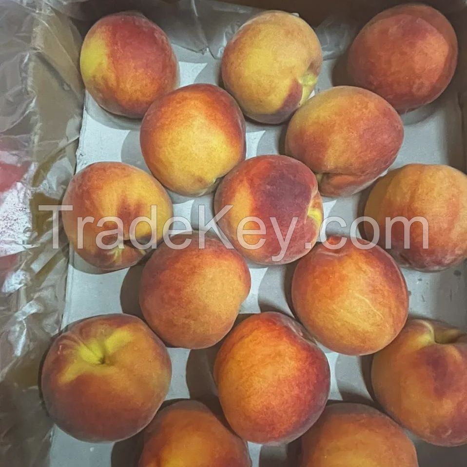 Quality Fresh Peaches, Fresh Plums, Fresh Nectarine, Yellow Peaches, Yellow Nectarine