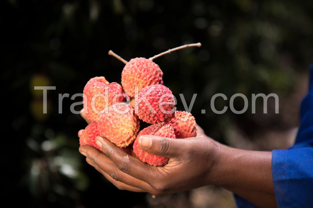 Passion Fruits, Kiwi Fruits, Fresh Litchi, Fresh Dragon Fruits