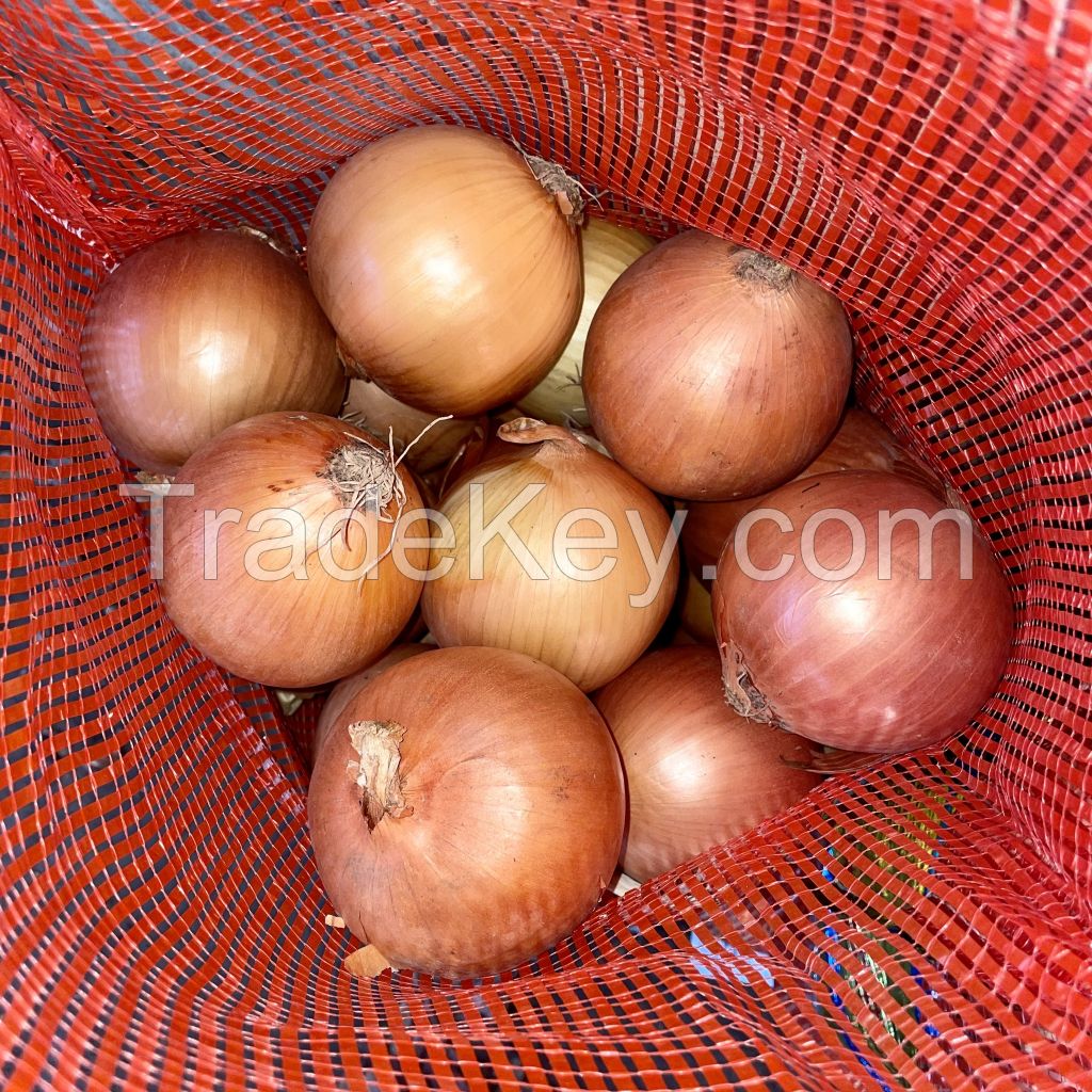 Premium Fresh Onions, White Onions, Red Onions, Clean Fresh Big Onions