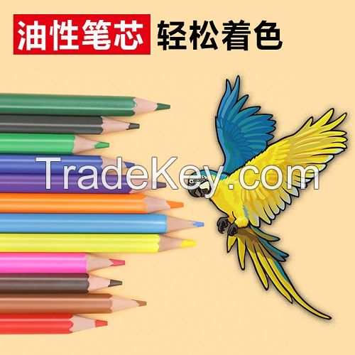 Back To Shool 12 wood free color pencil,plastic color pencil