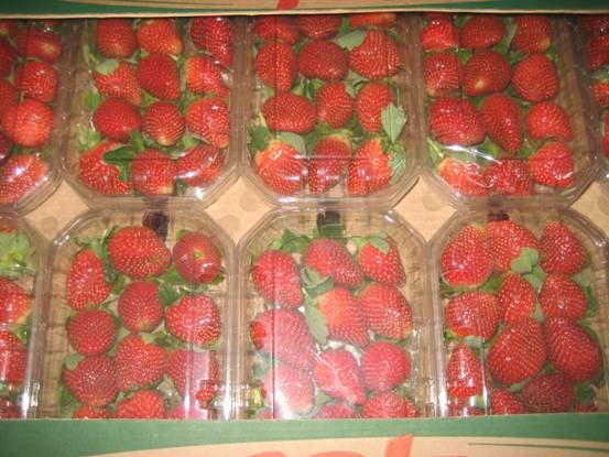fresh and frozen strawberry