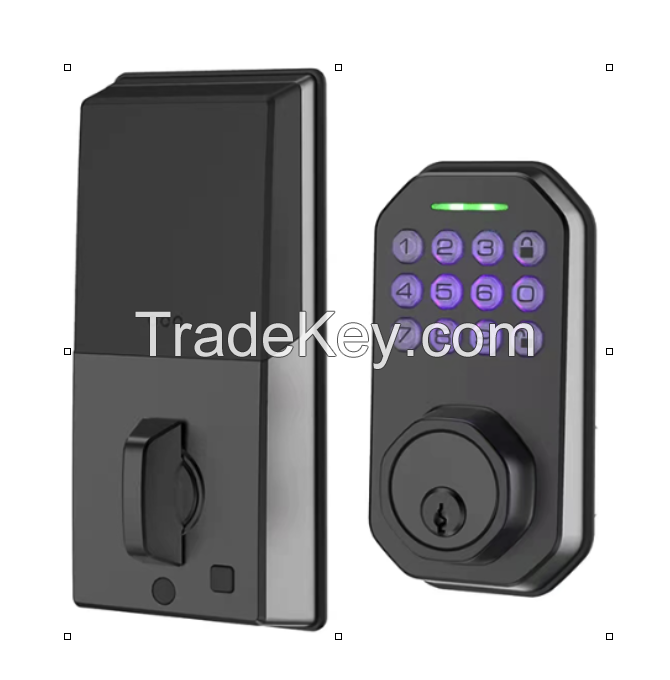 DF720Pro Wifi Tuya TTLock Fingerprint Remote Unlock Passcode 3D Recognition Automatic Smart Lock