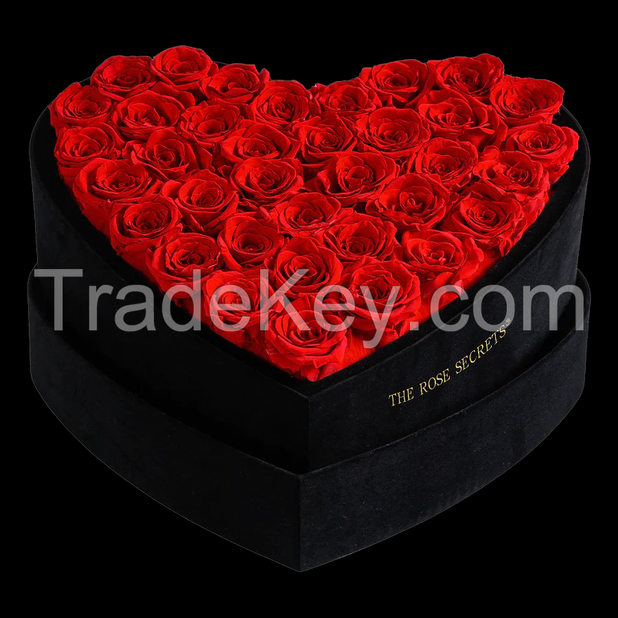 Real Natural Everlasting Immortal Forever  Rose in Box For Wholesale