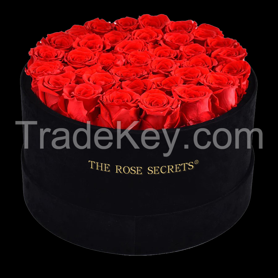 Real Natural Everlasting Immortal Forever  Rose in Box For Wholesale