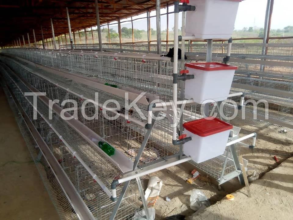 layer chicken cage, egg cage,battery cage,poultry farming equipment