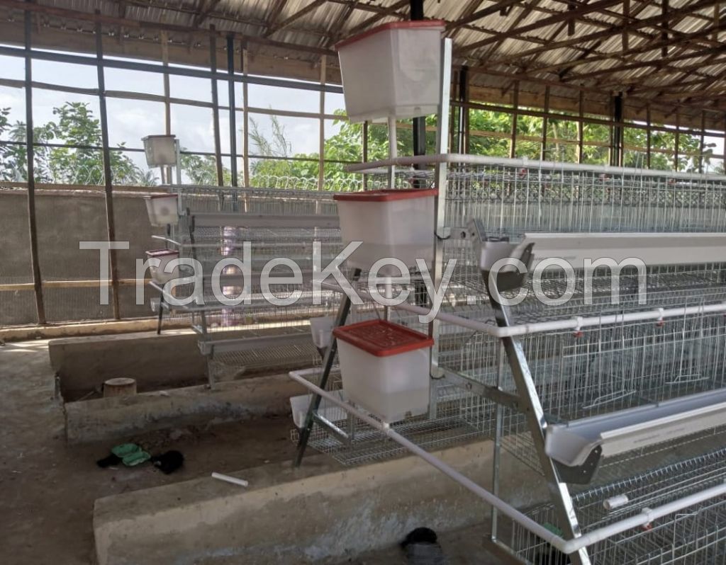 layer chicken cage, egg cage,battery cage,poultry farming equipment