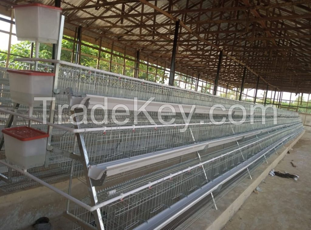 layer chicken cage, egg cage,battery cage,poultry farming equipment