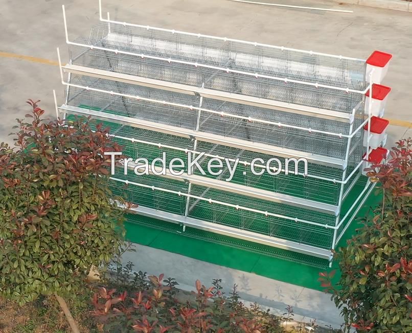 A type cage system for 5000 chickens poultry farm