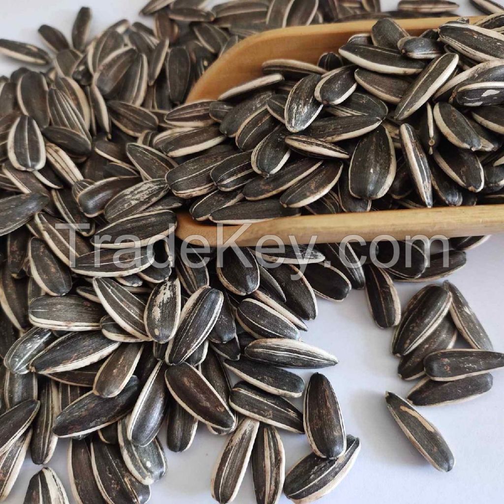 bulk sale sunflower seeds factory supply