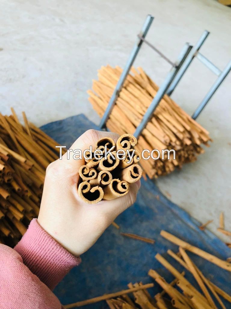 100% High Quality Herbs and Spices Food Ingredient Cassia Cinnamon Stick