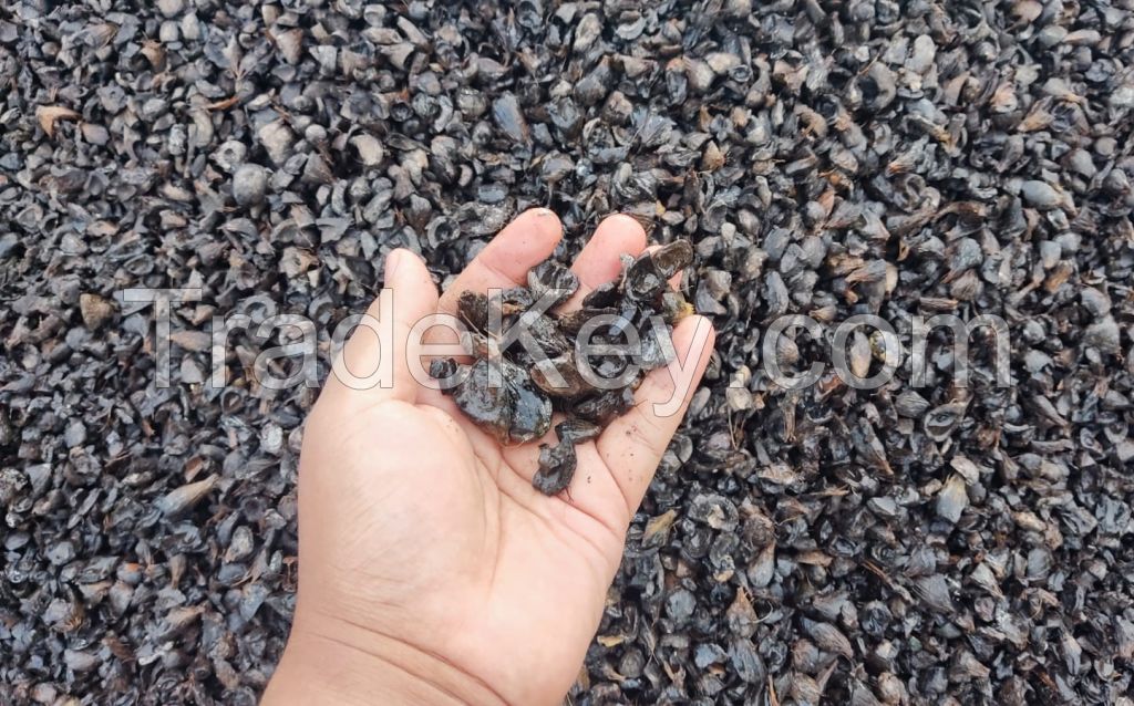 Palm Kernel Shells