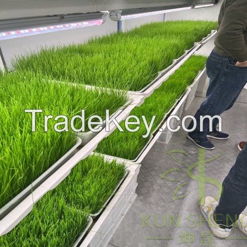 hydroponic fodder container farm