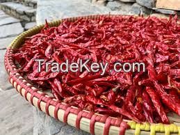 Dry chilies.