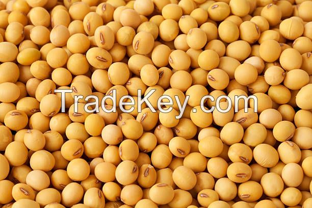 Soybeans 