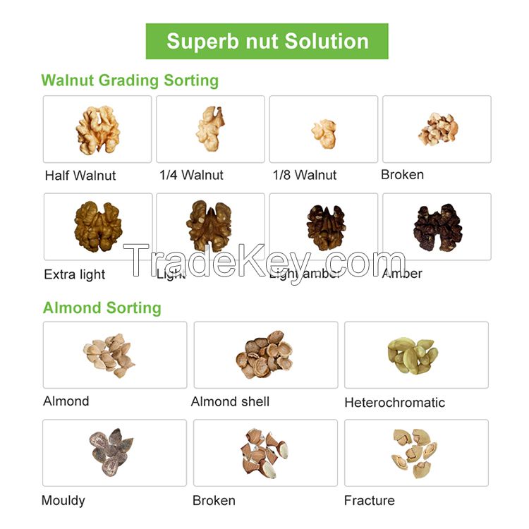 Nut Color Sorter Nuts sorting machine - WESORT