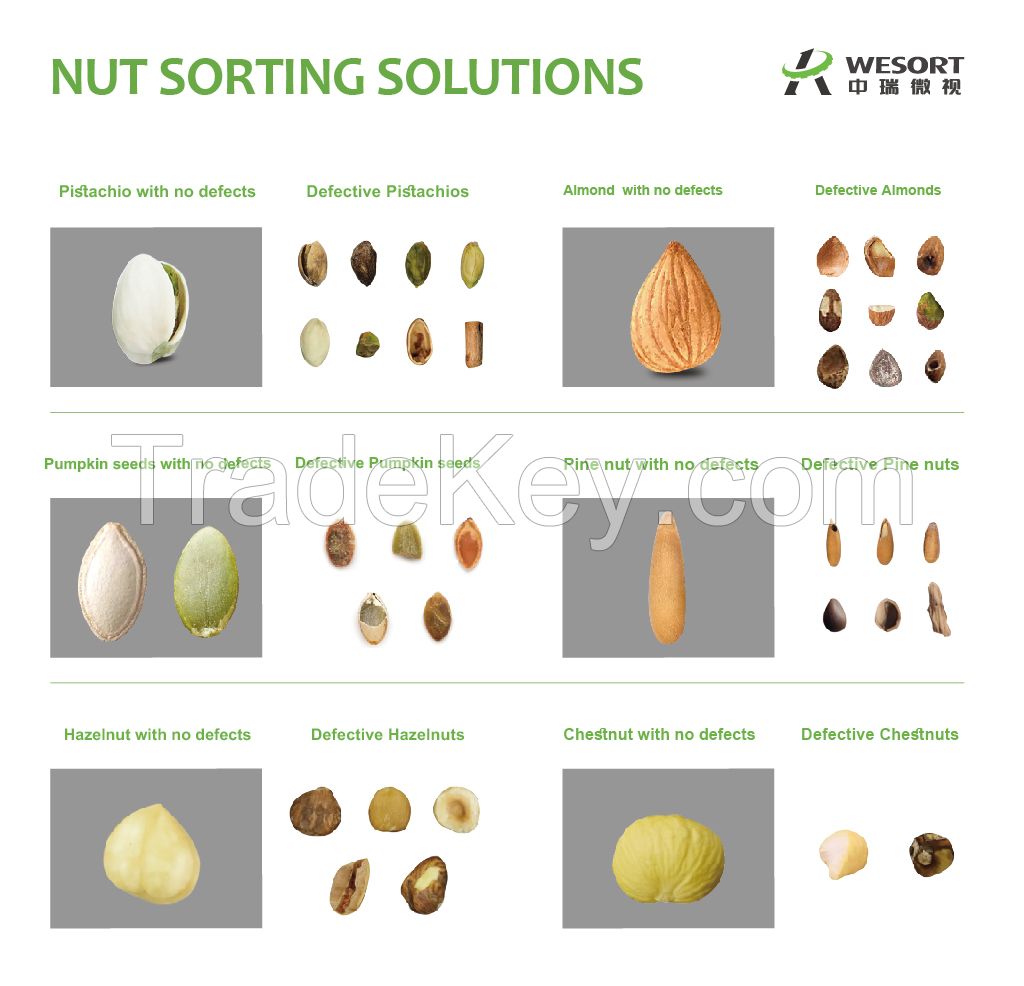Pistachio color sorter Nuts sorting machine - WESORT