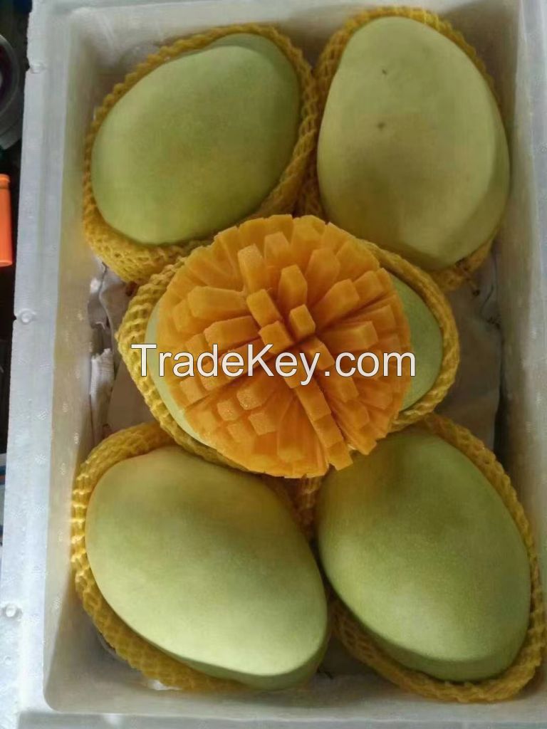 First-class Hainan Golden Mango