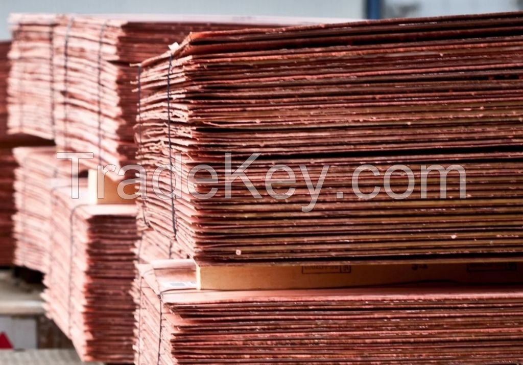Copper Cathodes 99,99
