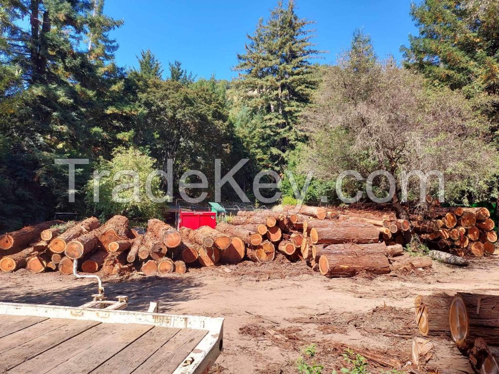 Redwood Timber 
