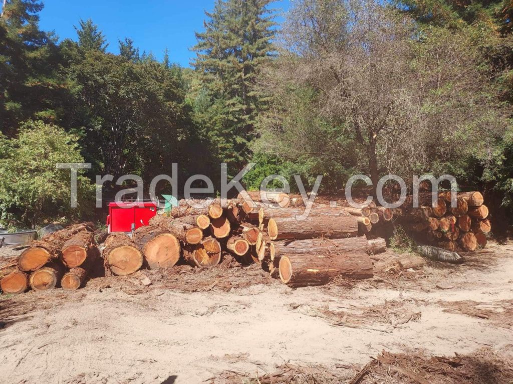 Redwood Timber