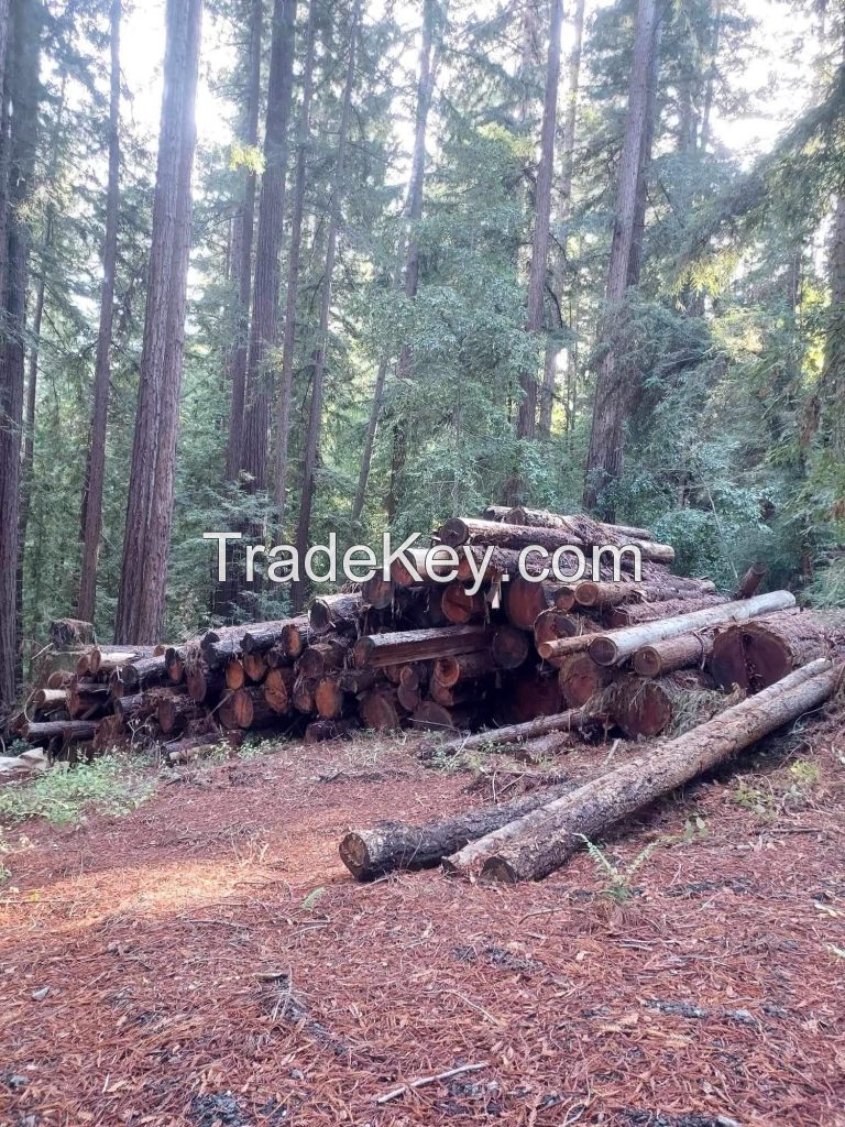 Redwood Timber 