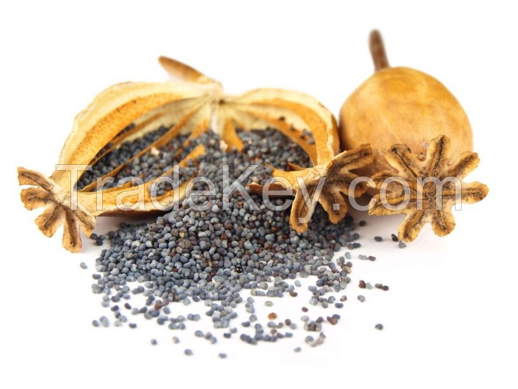 Dried Poppy Seeds