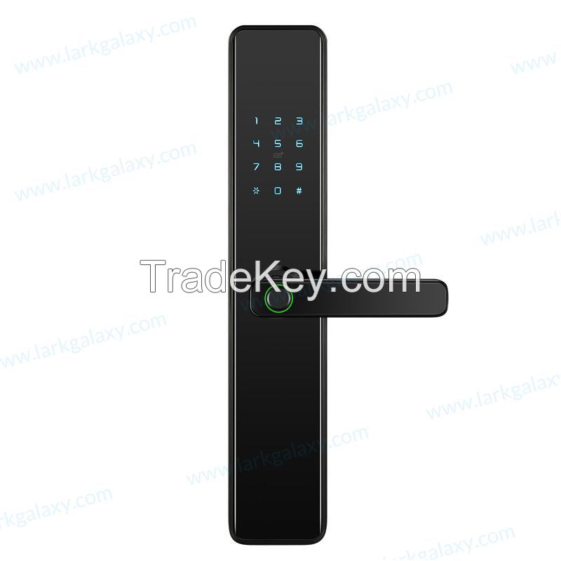 Fingerprint Bluetooth Password Electronic Smart Lock AM1