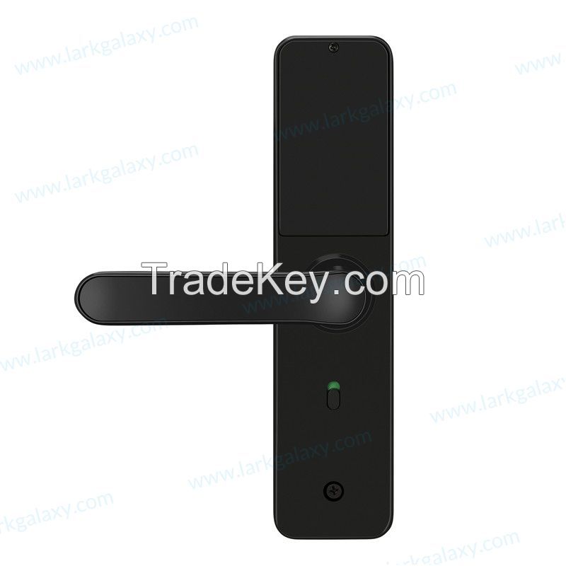 Fingerprint Bluetooth Password Electronic Smart Lock AX7