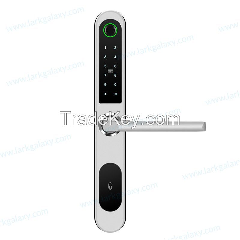 Broken Bridge Fingerprint Bluetooth Password Electronic Smart Lock A211