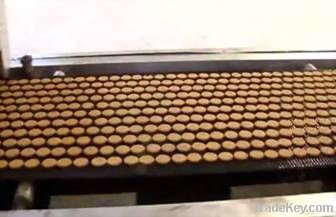 Automatic Biscuit Production Line