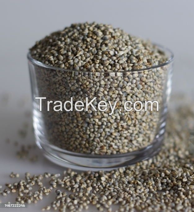 PREMIUM PEARL MILLET