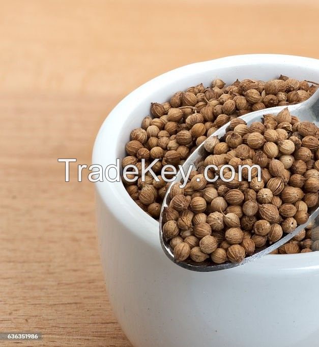 PREMIUM CORIANDER SEED