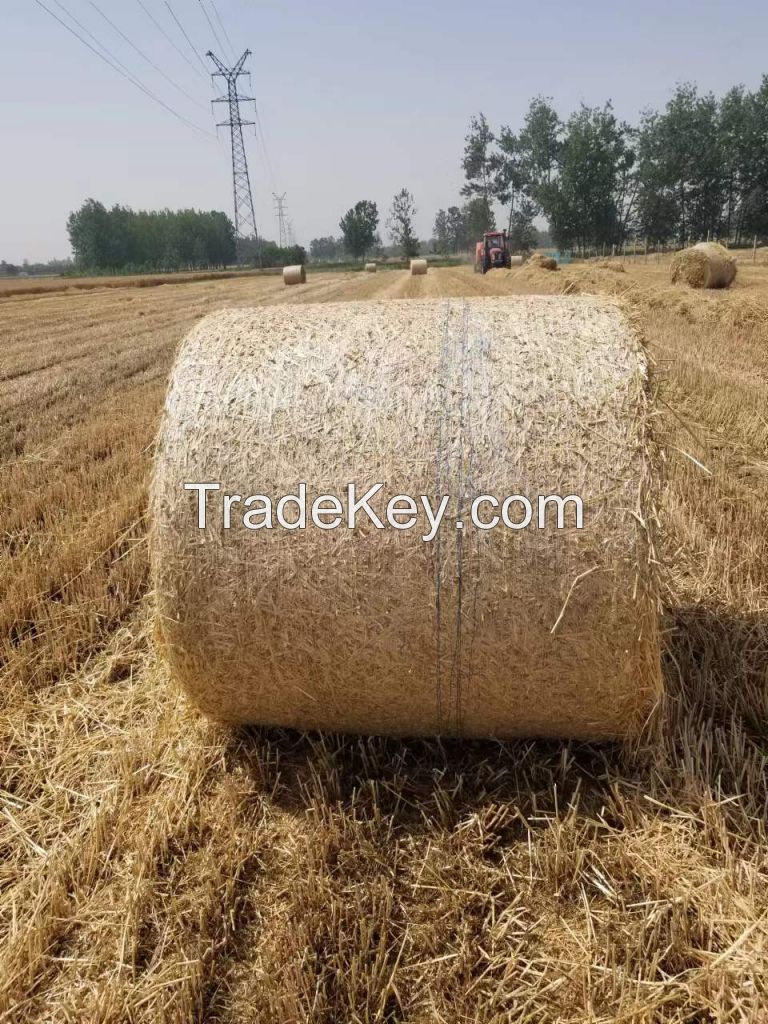 BALE Net Wrap