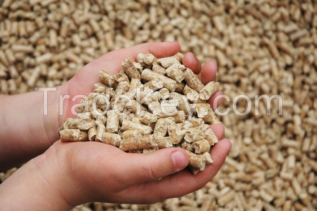 Compound feed for animals