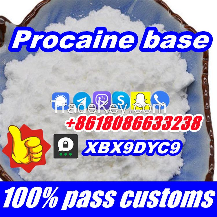 Buy Procaine base CAS 59-46-1 Procaine powder