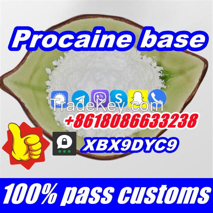 Buy Procaine base CAS 59-46-1 Procaine powder